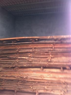 �ҵĹ��S������