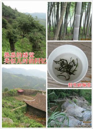 ����Ȼ�x��