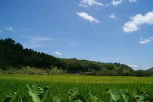 ��߅��������S����