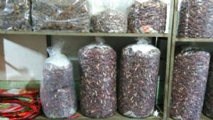 �����й��ֹ���