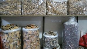 �����й��ֹ���