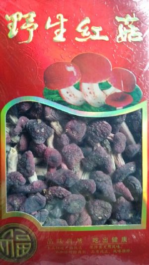 �����й��ֹ���