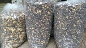 �����й��ֹ���