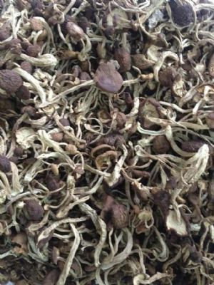 A��(j��)��乽