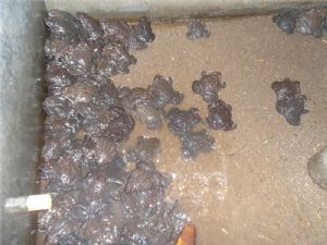 ��������ʯ�ܣ�ʯ�[����