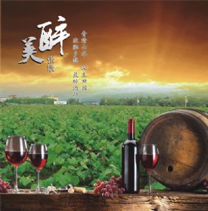 �������ռt���Ѿ�