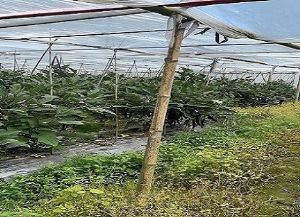 �B�T�йϹ��R�Nֲ���޹�˾