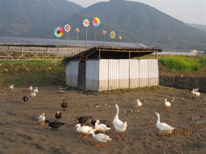 �_(t��i)���@���B(t��i)��(h��)������