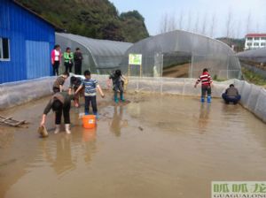 ���Q���e�r(n��ng)�f