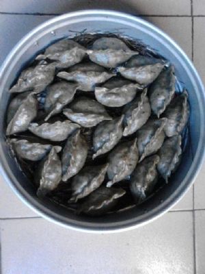 �Ҽ�������