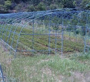 �l(xi��ng)������