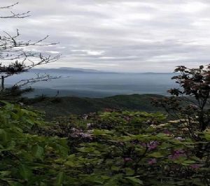 ���ĸ������l(xi��ng)��